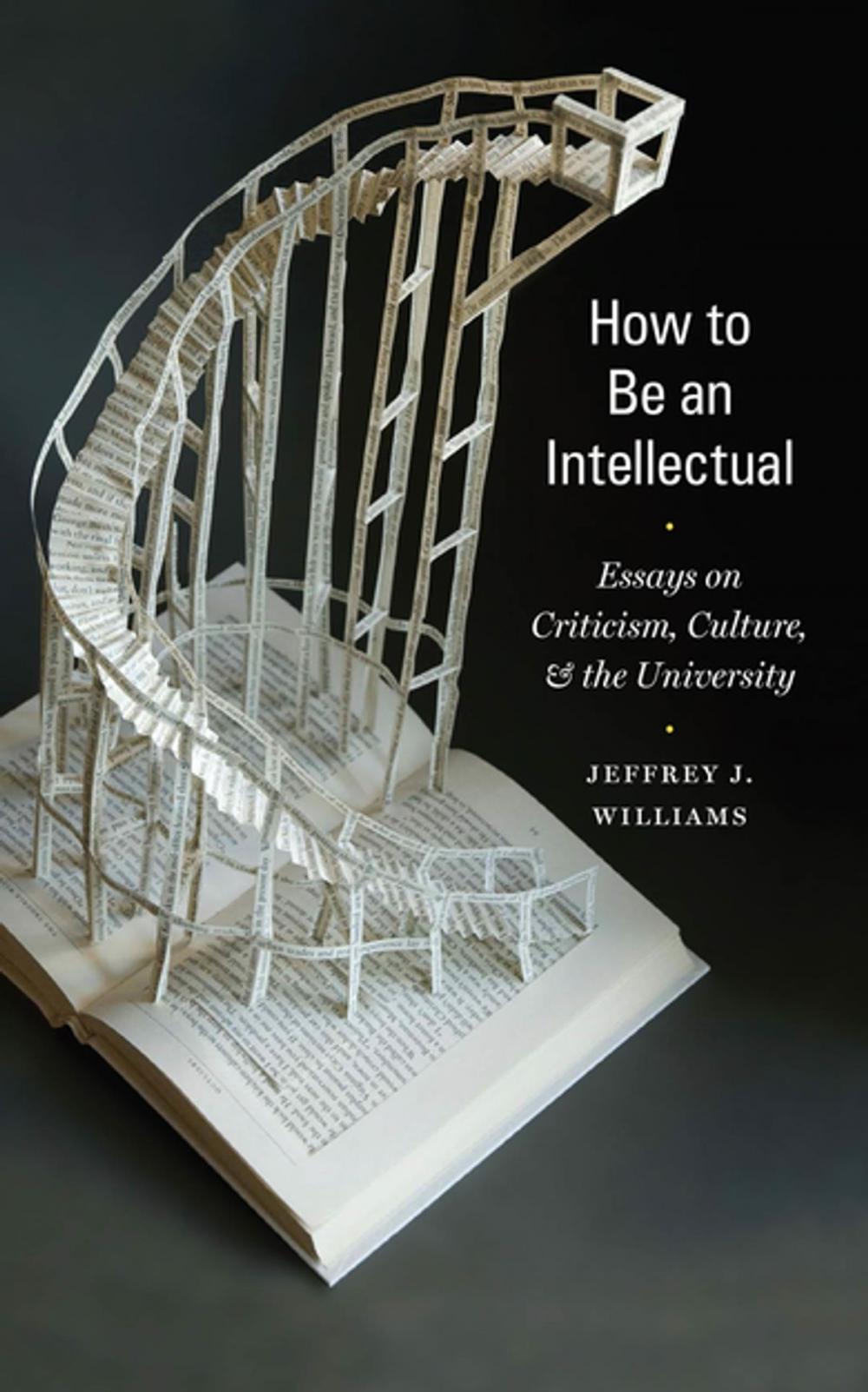 Big bigCover of How to Be an Intellectual