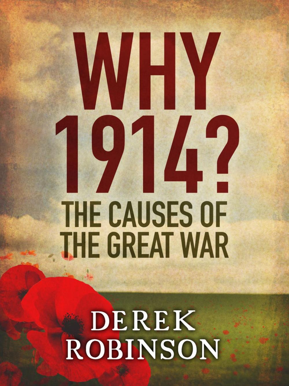 Big bigCover of Why 1914?