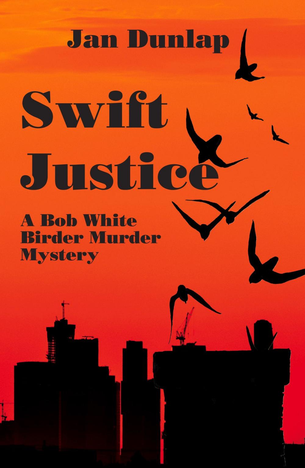 Big bigCover of Swift Justice