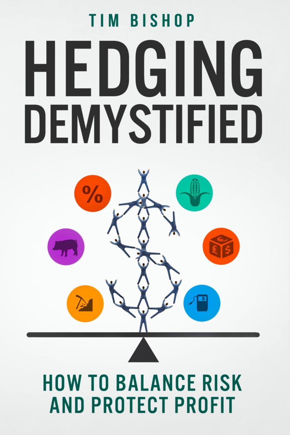 Big bigCover of Hedging Demystified