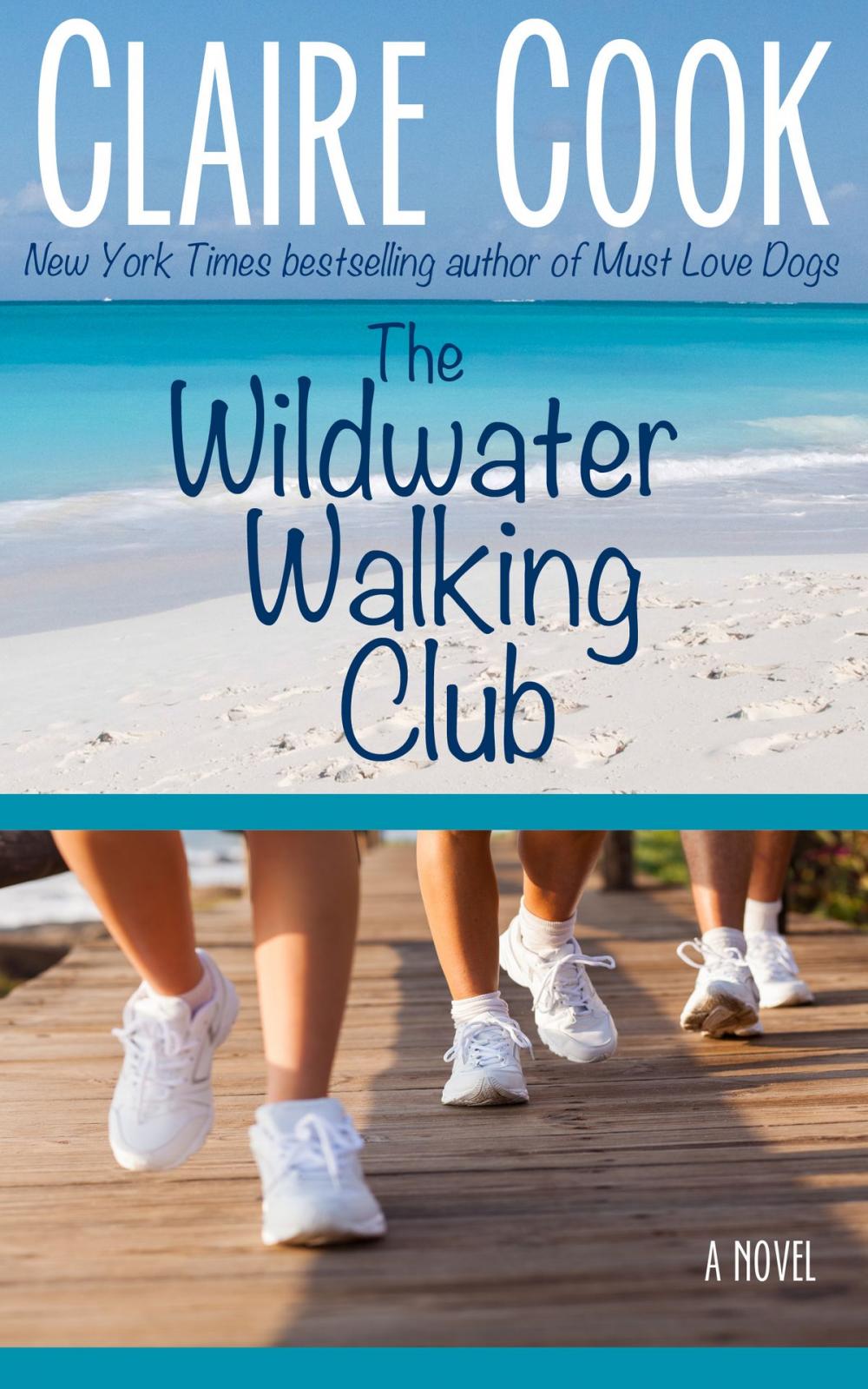 Big bigCover of The Wildwater Walking Club