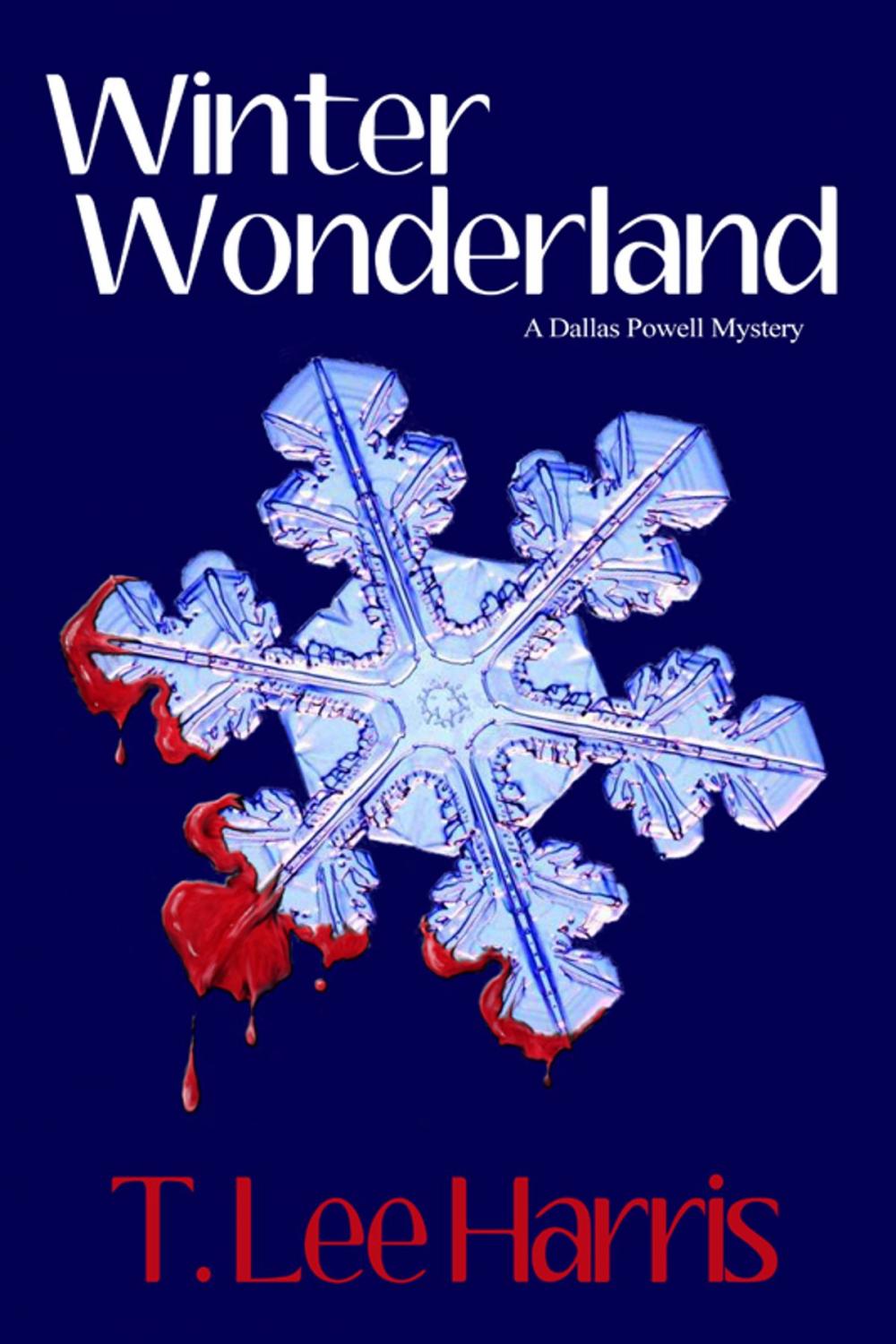 Big bigCover of Winter Wonderland