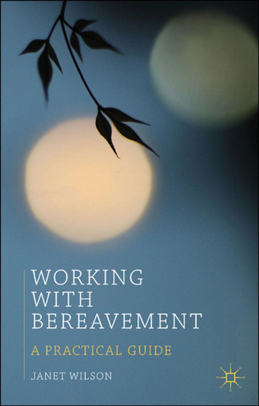 Big bigCover of Working with Bereavement