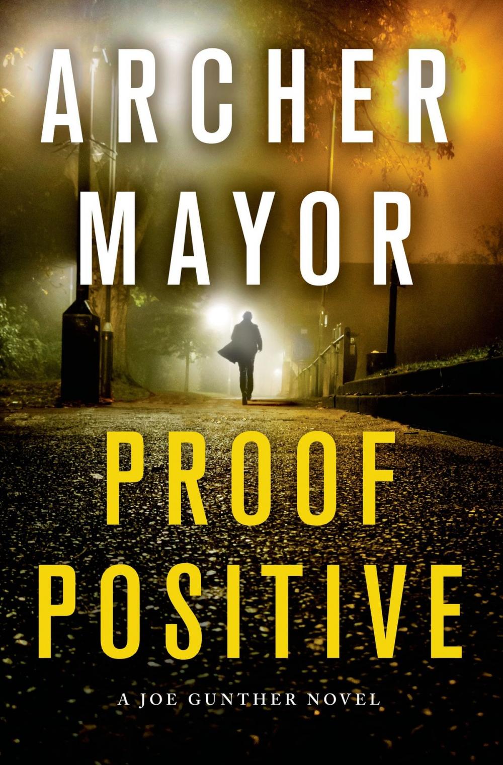 Big bigCover of Proof Positive