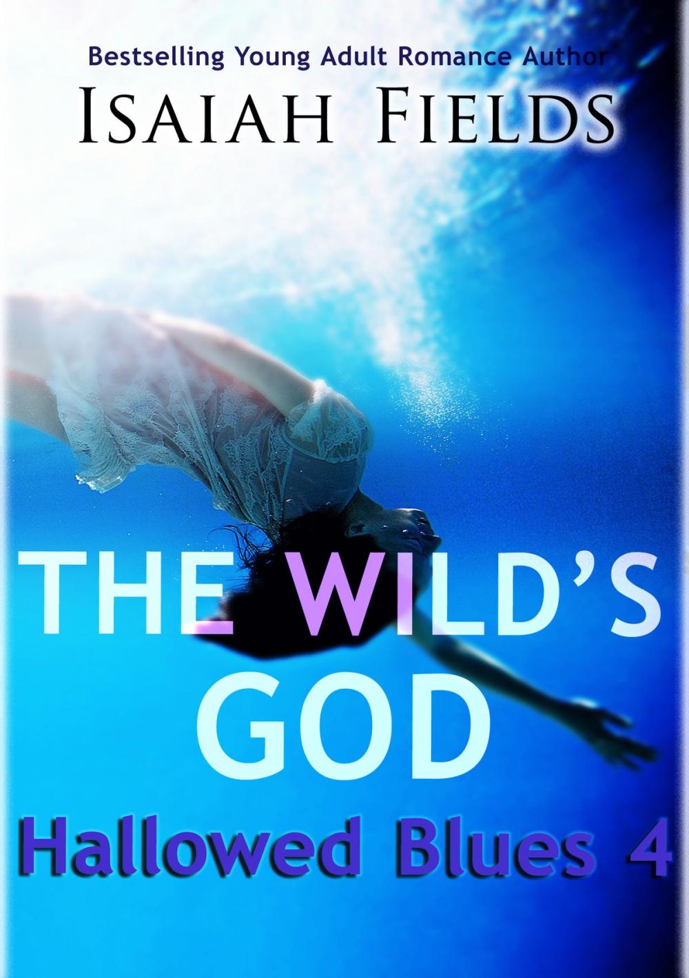 Big bigCover of The Wild's God: Hallowed Blues 4