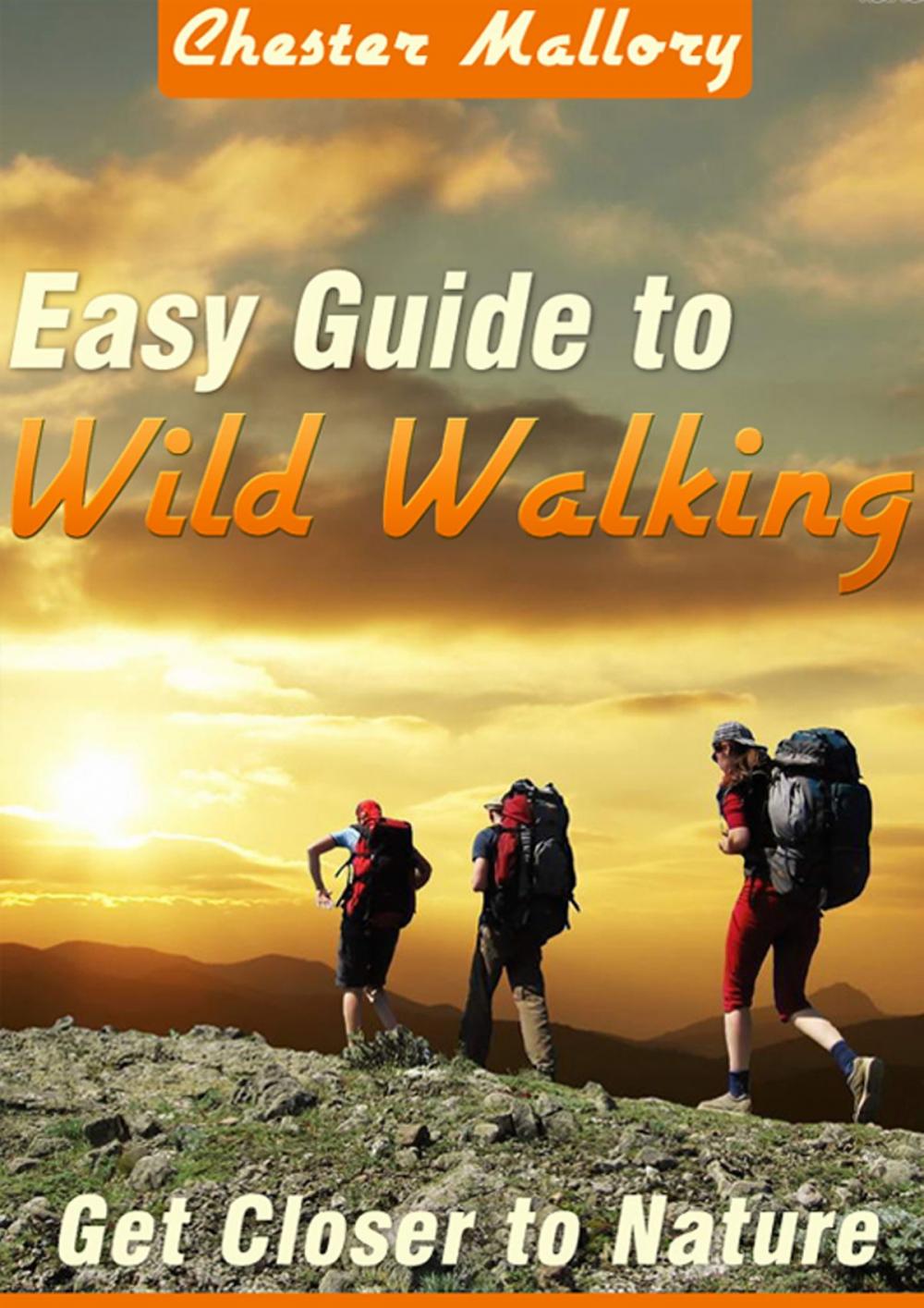 Big bigCover of The Easy Guide to Wild Walking