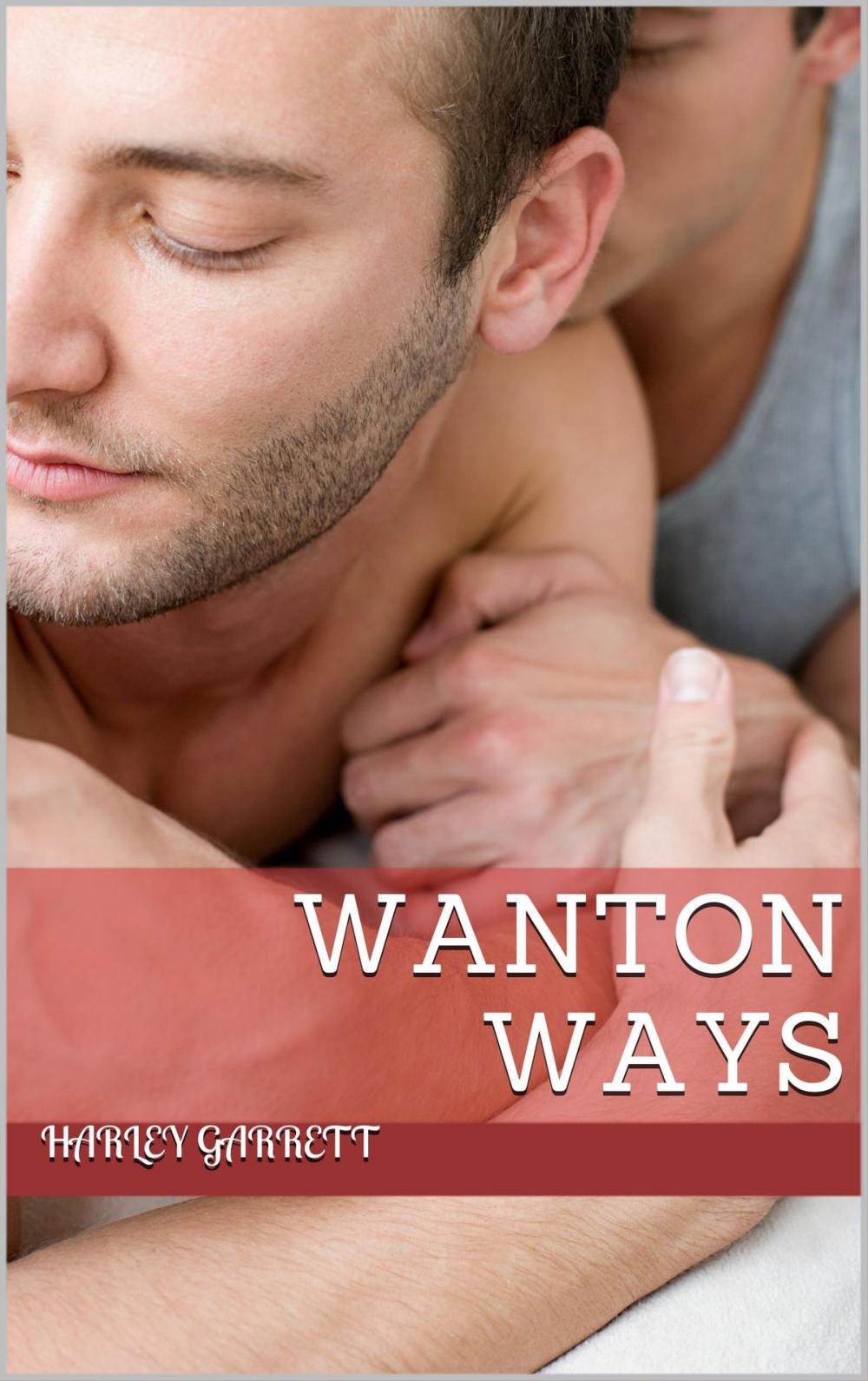 Big bigCover of Wanton Ways