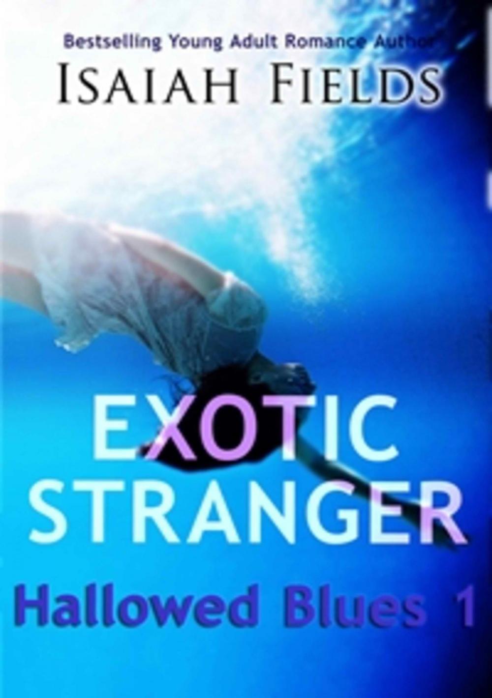 Big bigCover of Exotic Stranger: Hallowed Blues 1