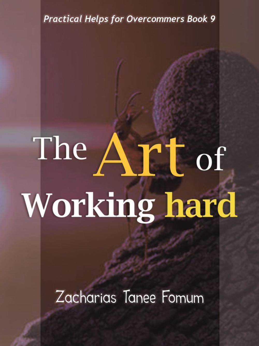 Big bigCover of The Art Of Working Hard