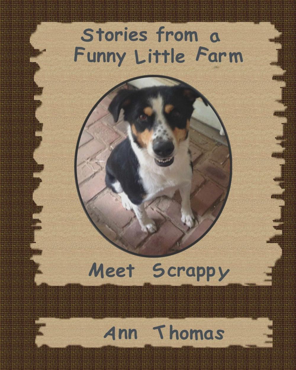 Big bigCover of Stories from a Funny Little Farm: Meet Scrappy