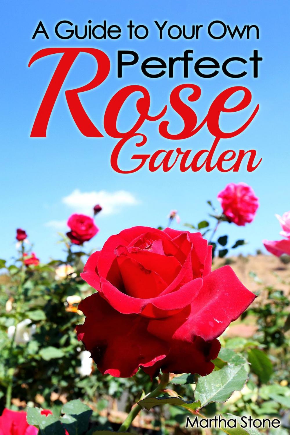 Big bigCover of A Guide to Your Own Perfect Rose Garden