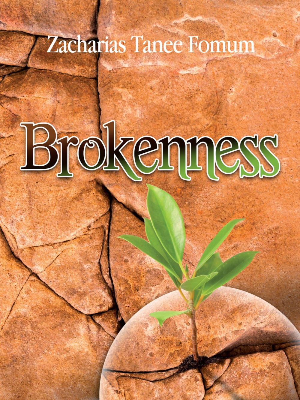 Big bigCover of Brokenness: The Secret Of Spiritual Overflow