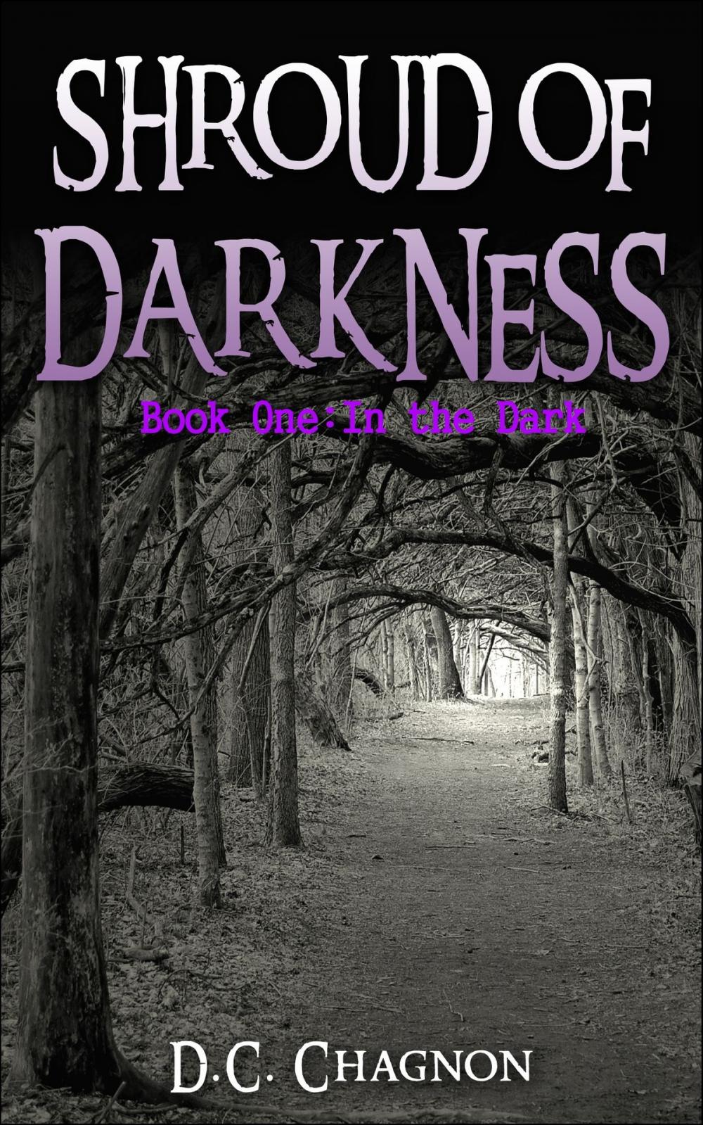 Big bigCover of Shroud of Darkness, Book One: In the Dark