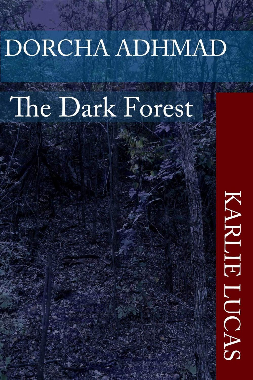 Big bigCover of Dorcha Adhmad The Dark Forest