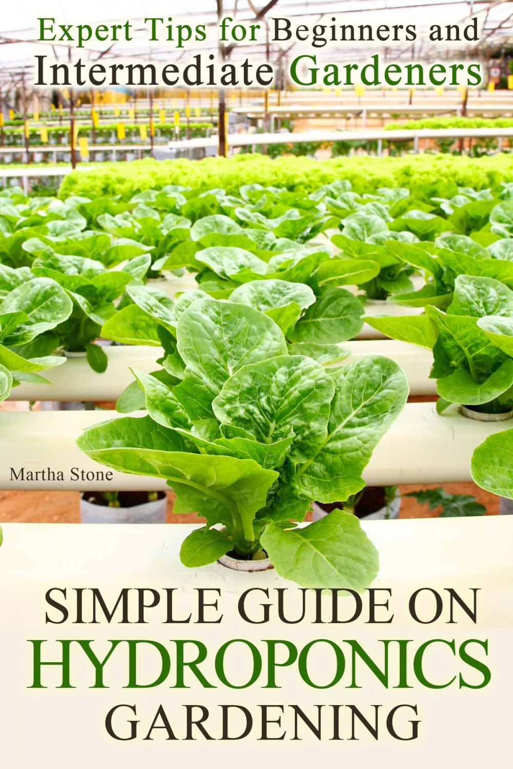 Big bigCover of Simple Guide on Hydroponics Gardening: Expert Tips for Beginners and Intermediate Gardeners