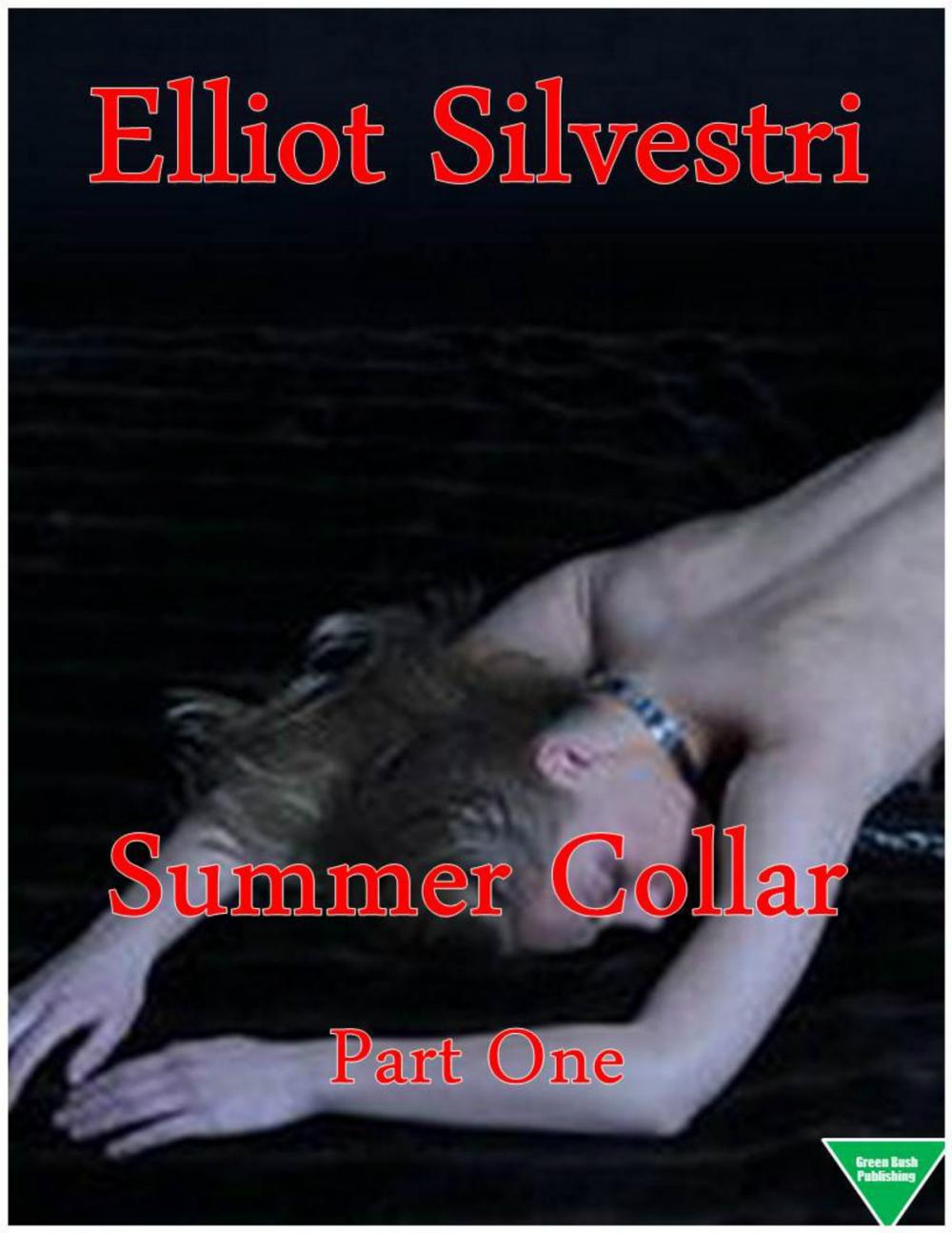 Big bigCover of Summer Collar Part One