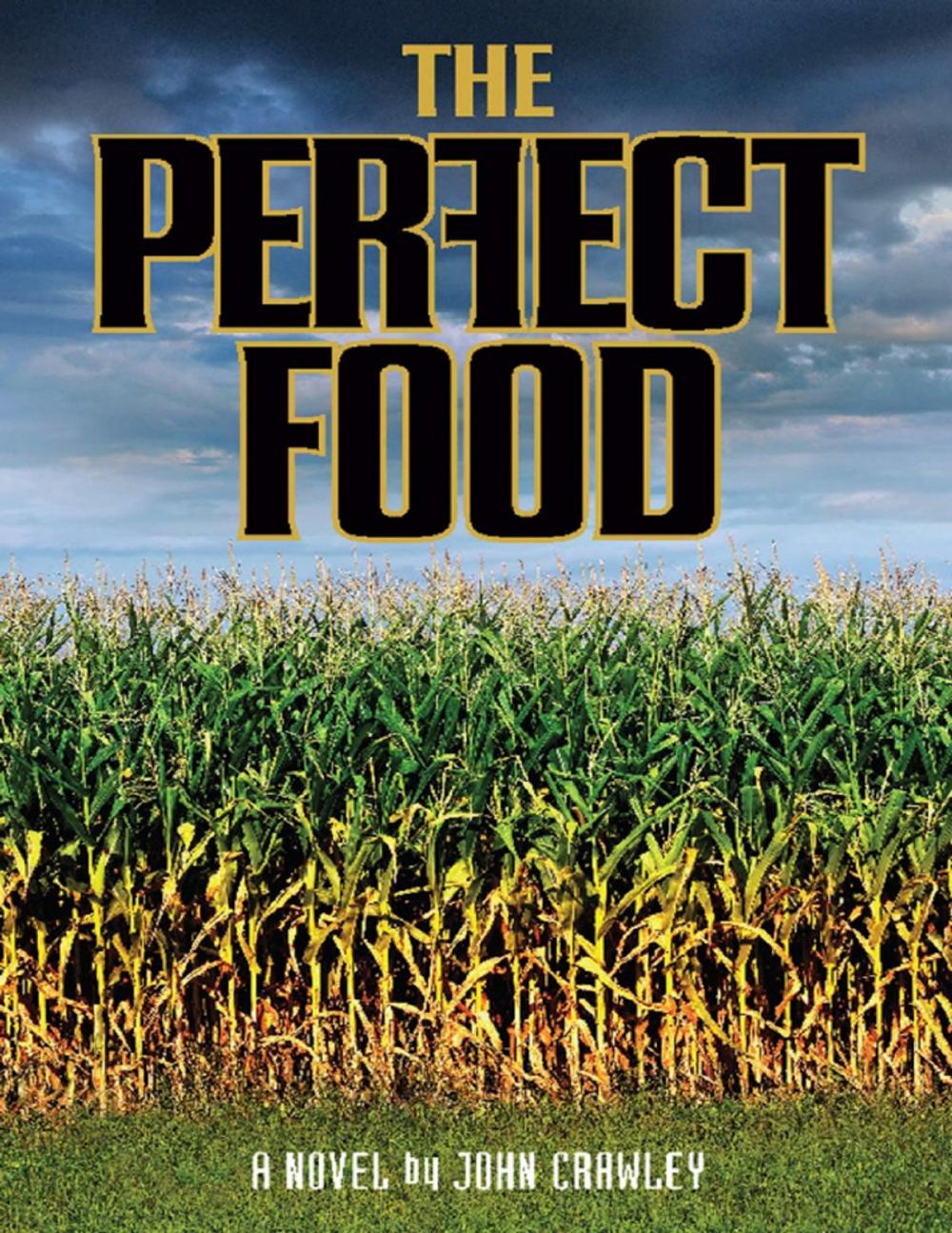 Big bigCover of The Perfect Food