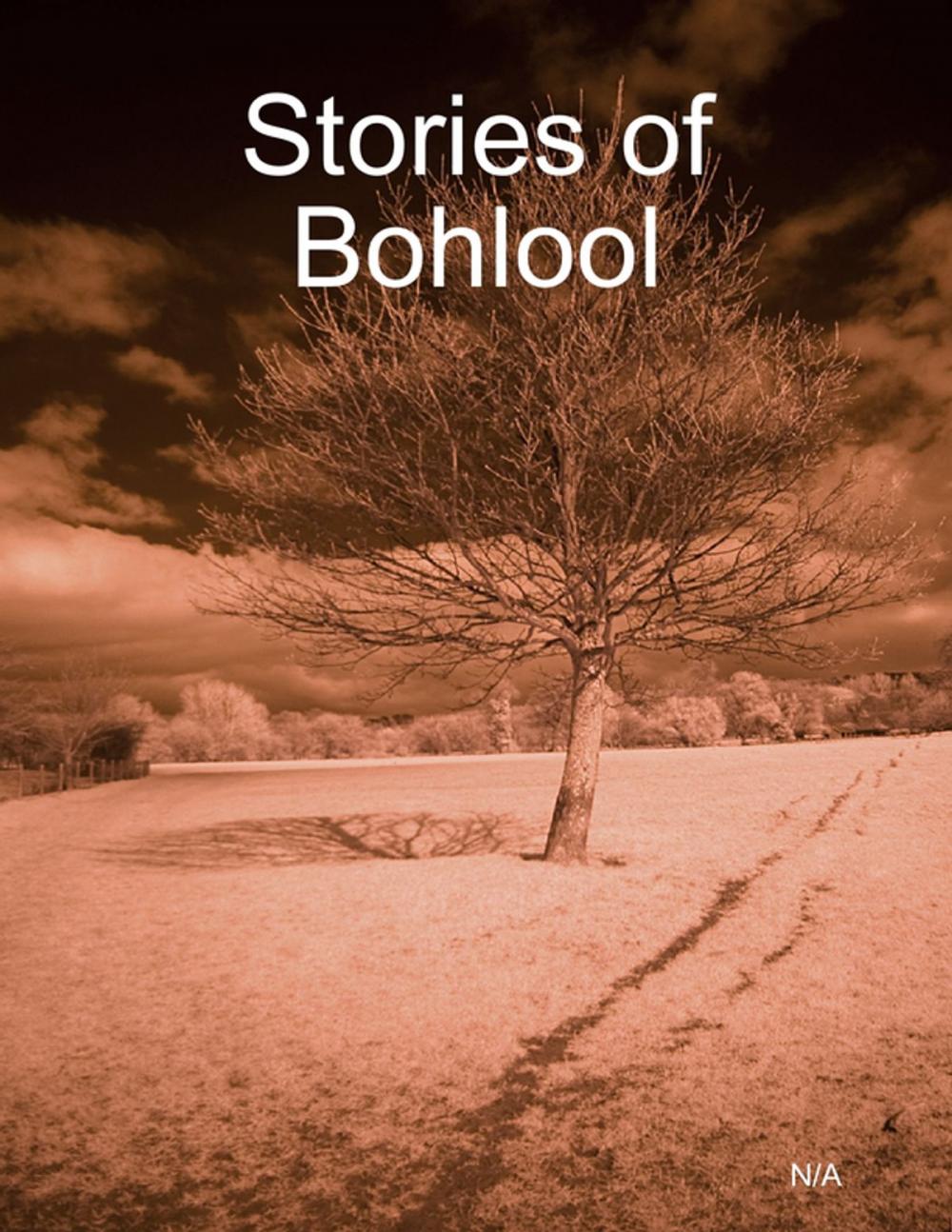 Big bigCover of Stories of Bohlool