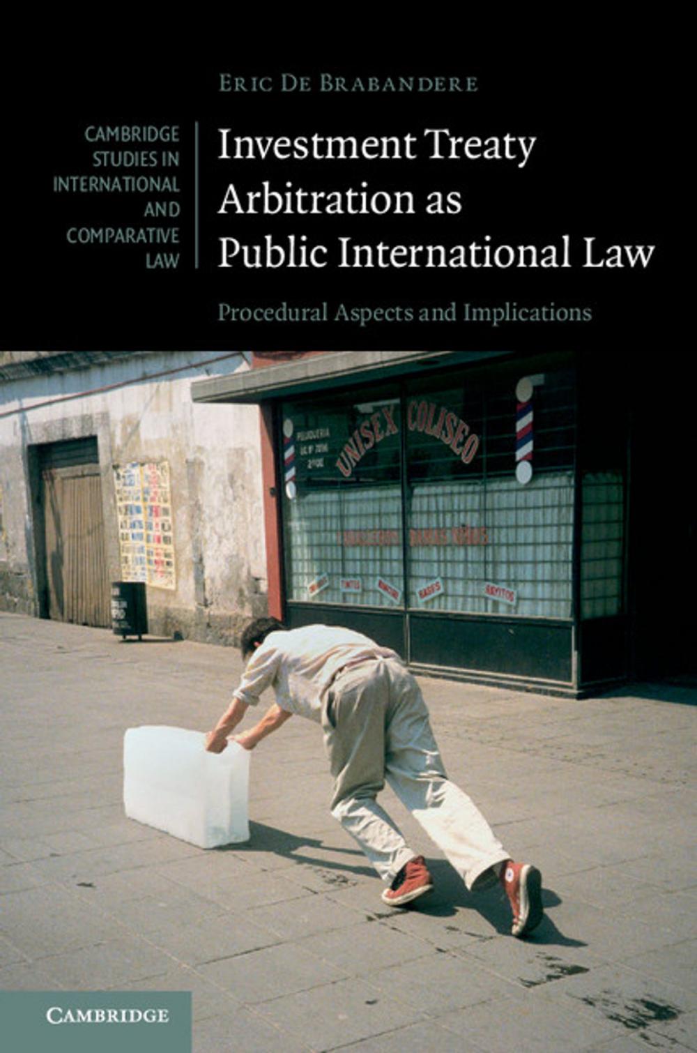 Big bigCover of Investment Treaty Arbitration as Public International Law