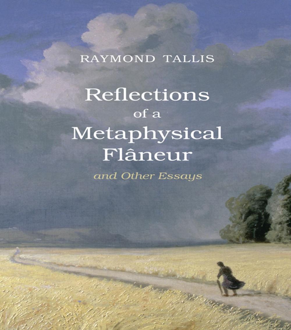 Big bigCover of Reflections of a Metaphysical Flaneur