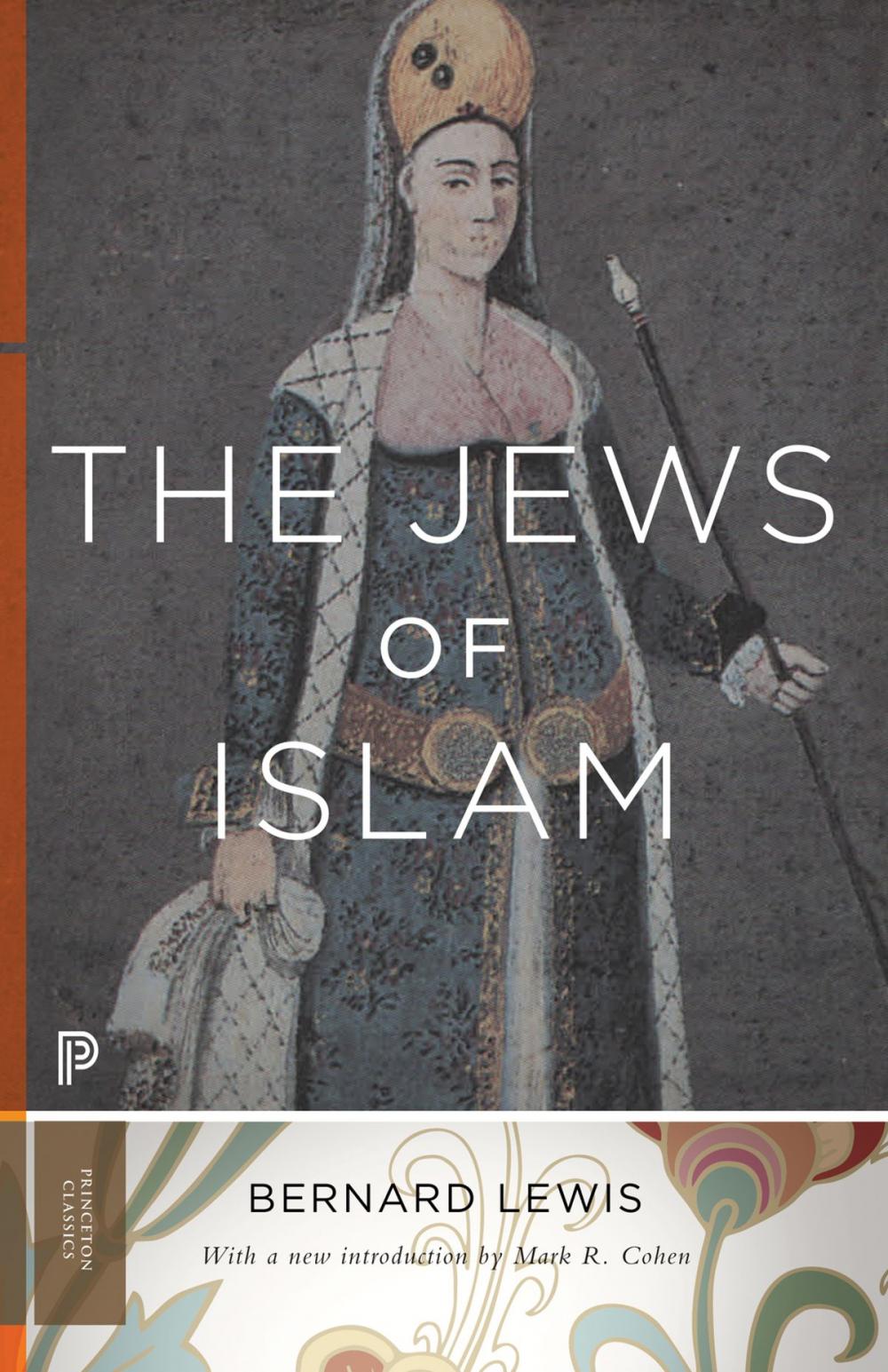 Big bigCover of The Jews of Islam