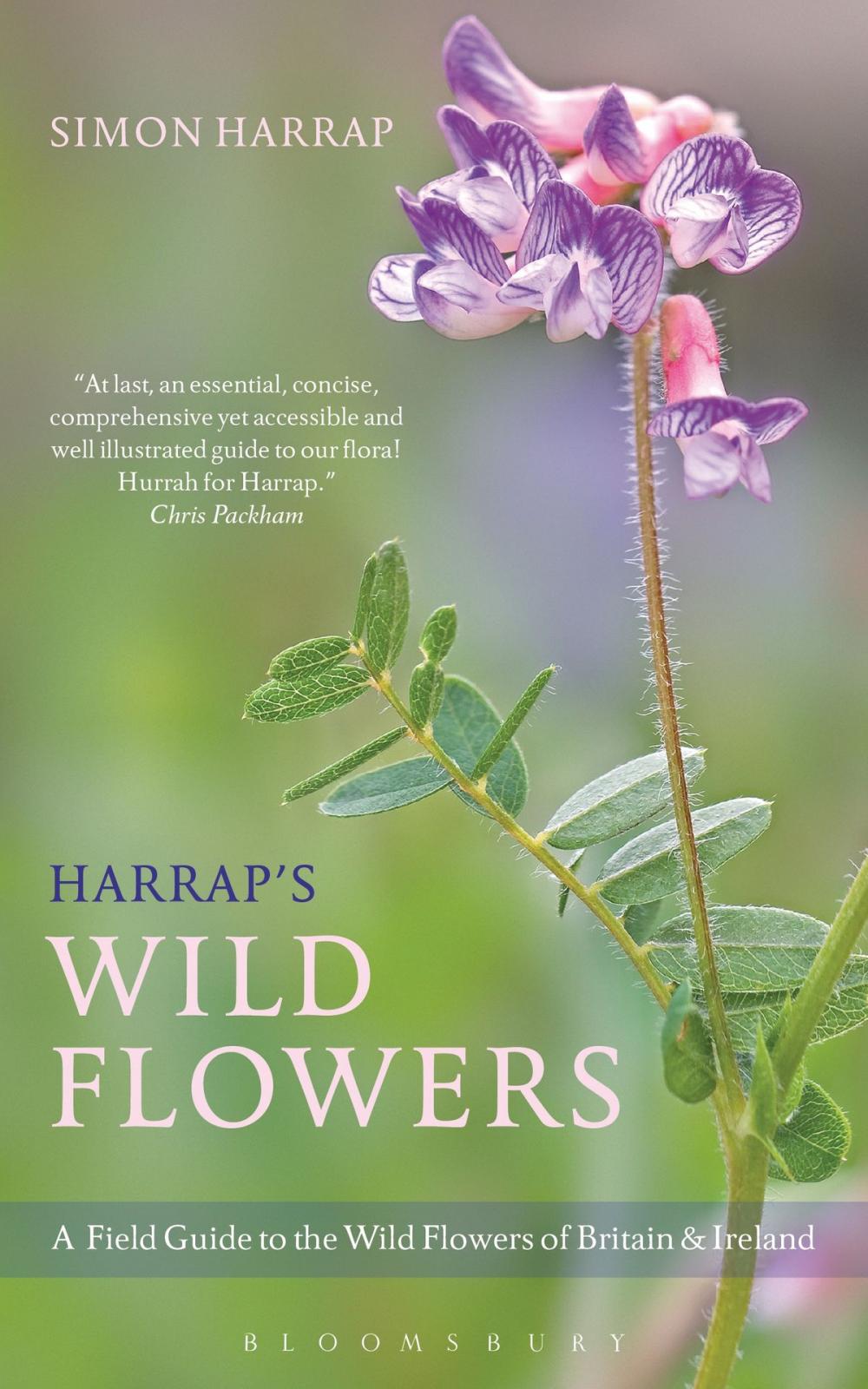 Big bigCover of Harrap's Wild Flowers