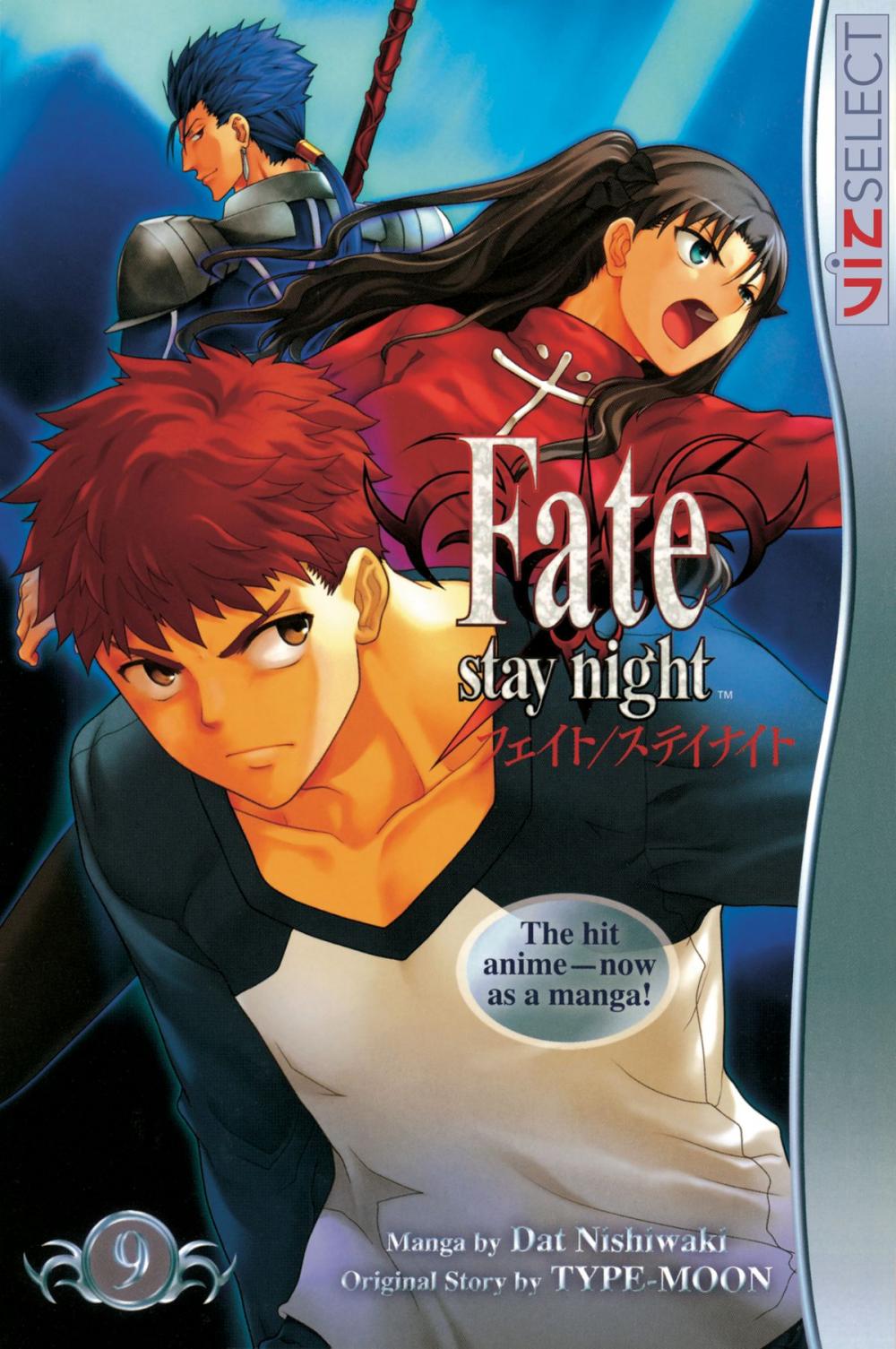 Big bigCover of Fate/stay night, Vol. 9