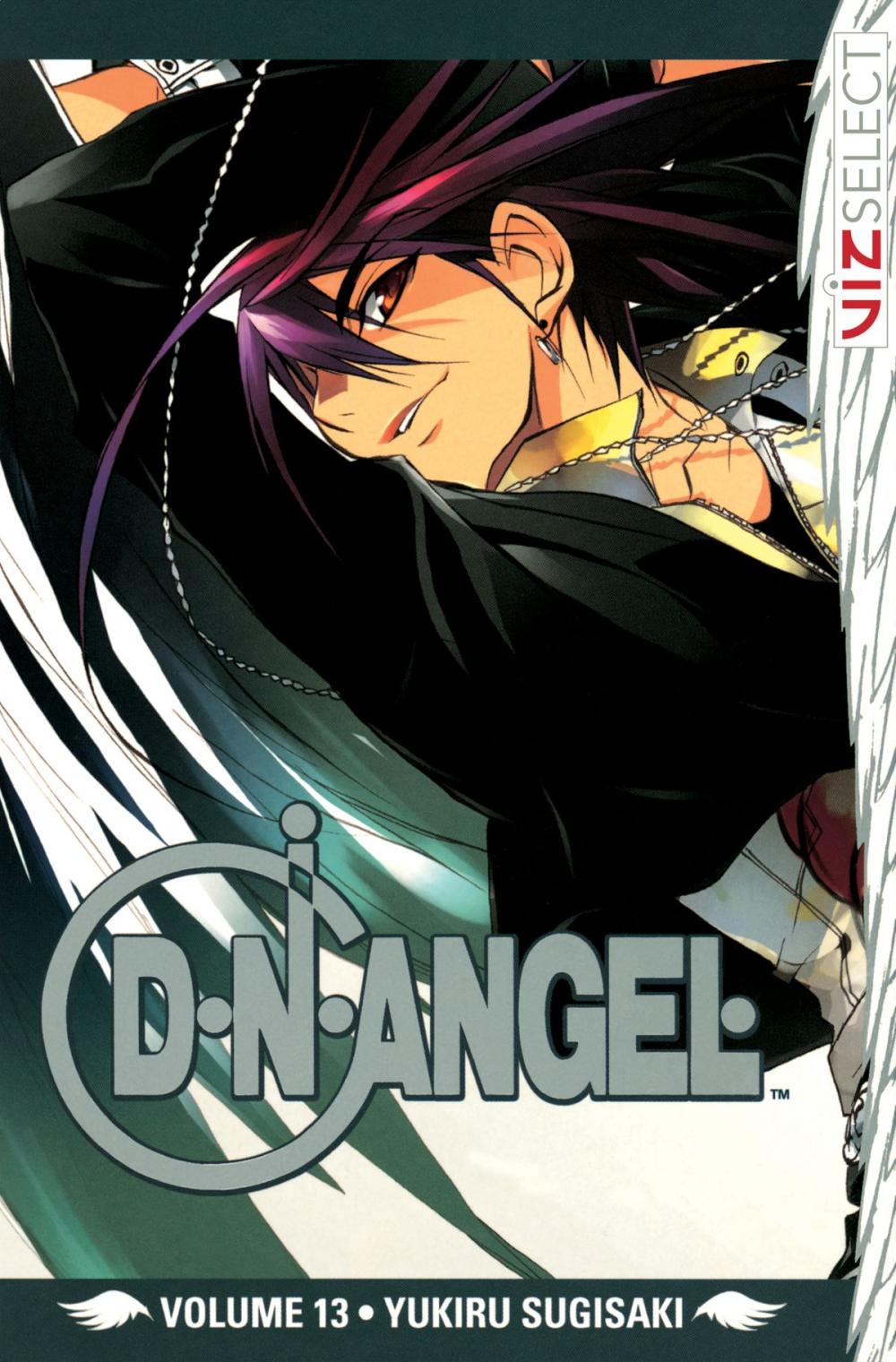 Big bigCover of D・N・ANGEL, Vol. 13