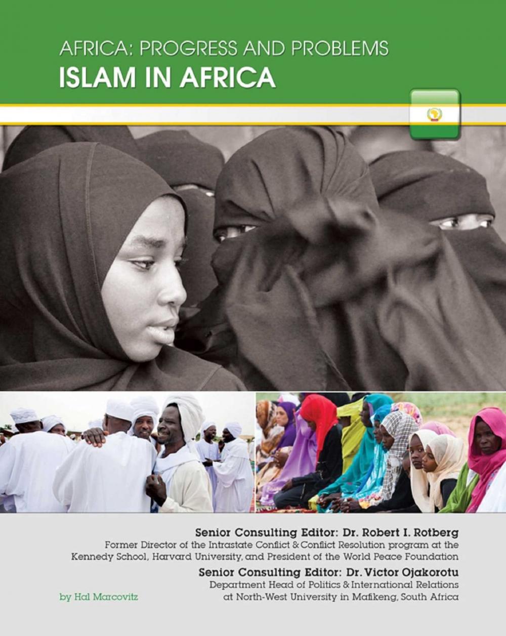 Big bigCover of Islam in Africa