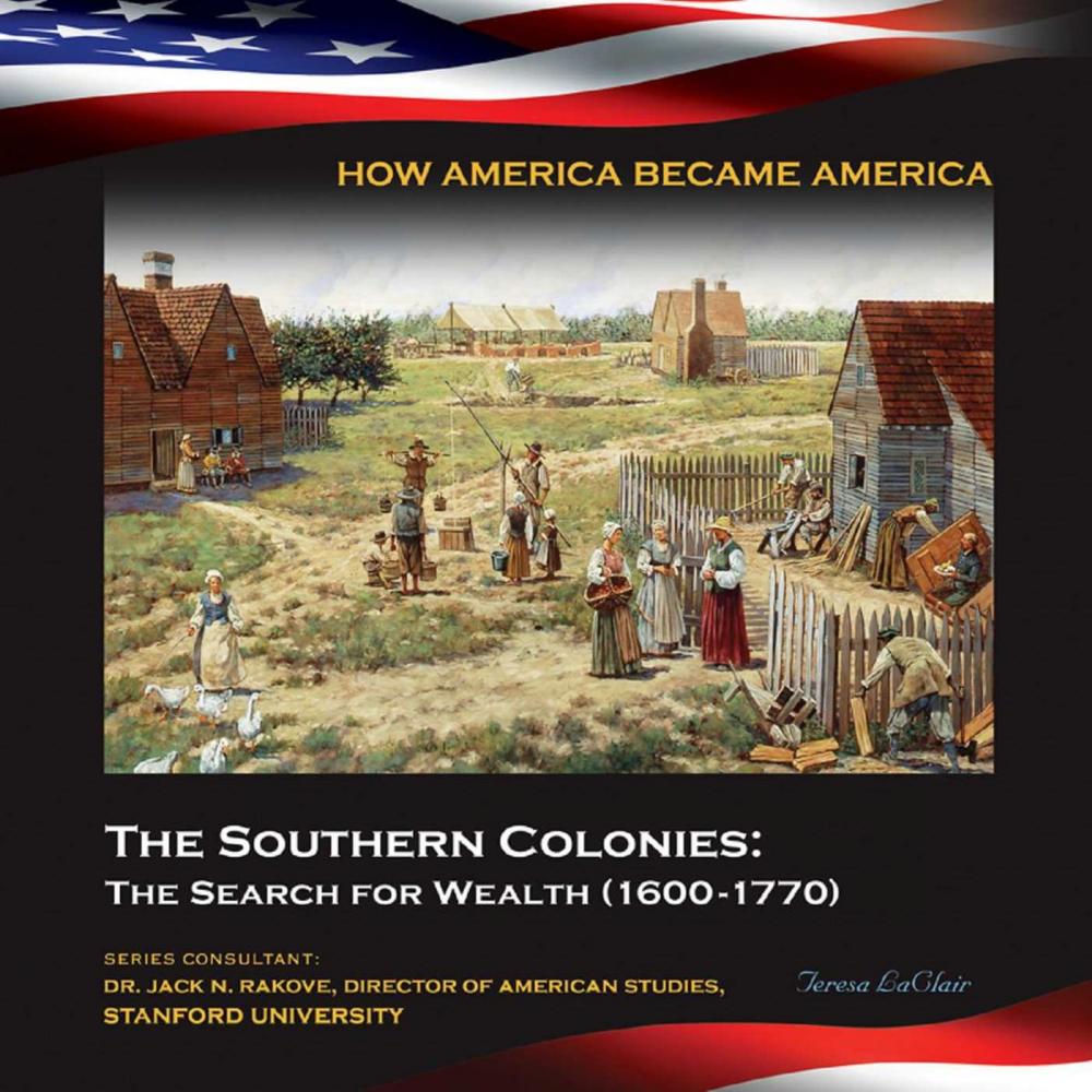 Big bigCover of The Southern Colonies: The Search for Wealth (1600-1770)