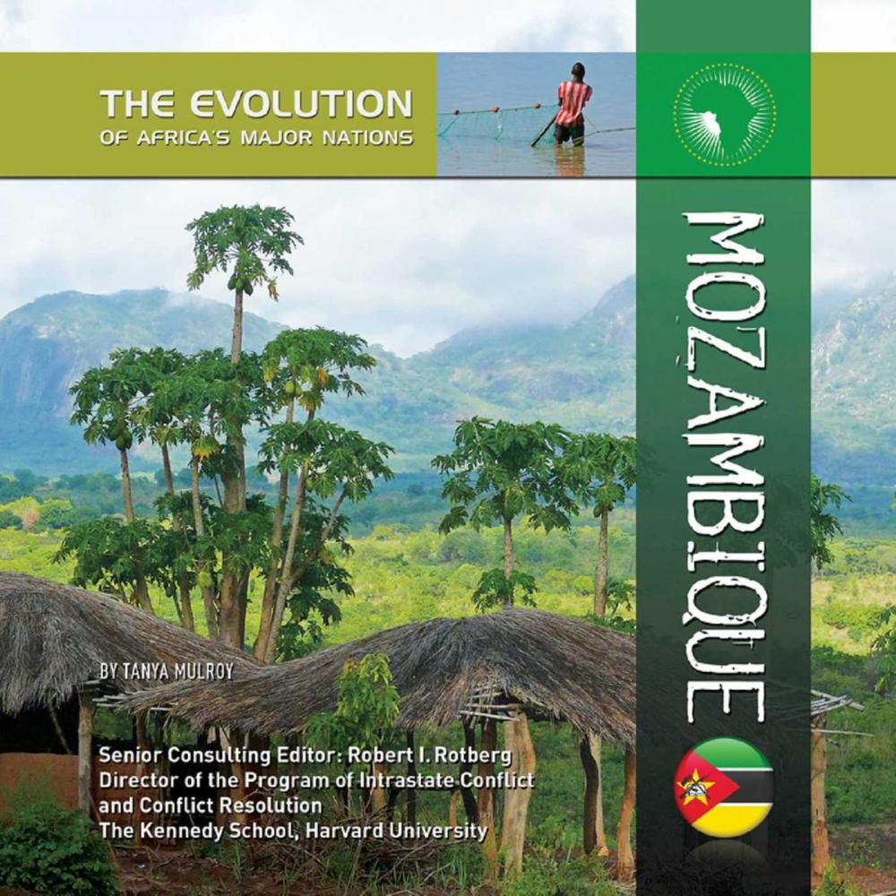 Big bigCover of Mozambique