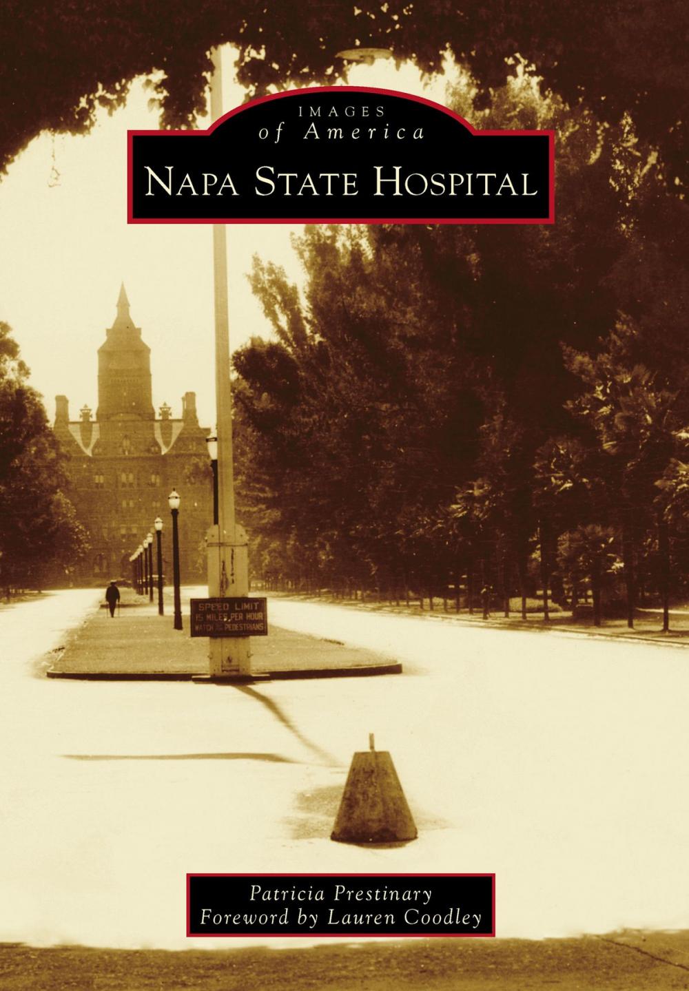 Big bigCover of Napa State Hospital