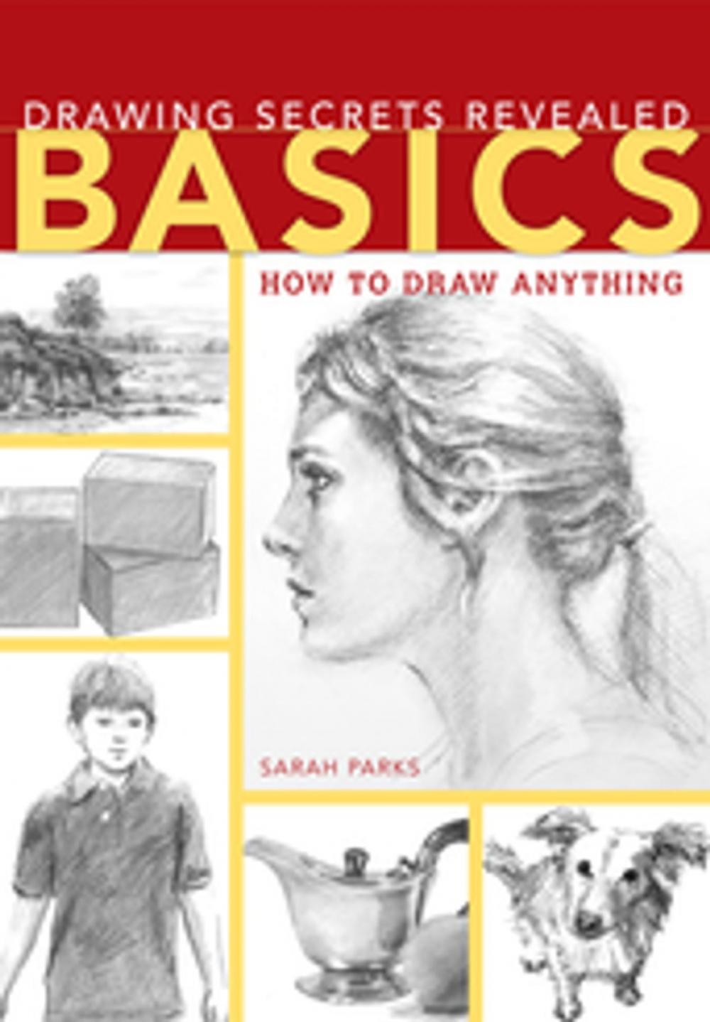 Big bigCover of Drawing Secrets Revealed - Basics