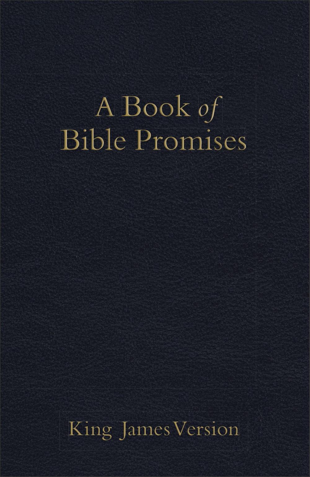 Big bigCover of KJV Book of Bible Promises Midnight Blue