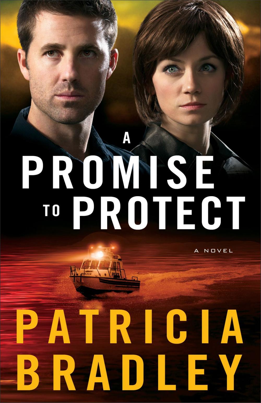 Big bigCover of A Promise to Protect (Logan Point Book #2)