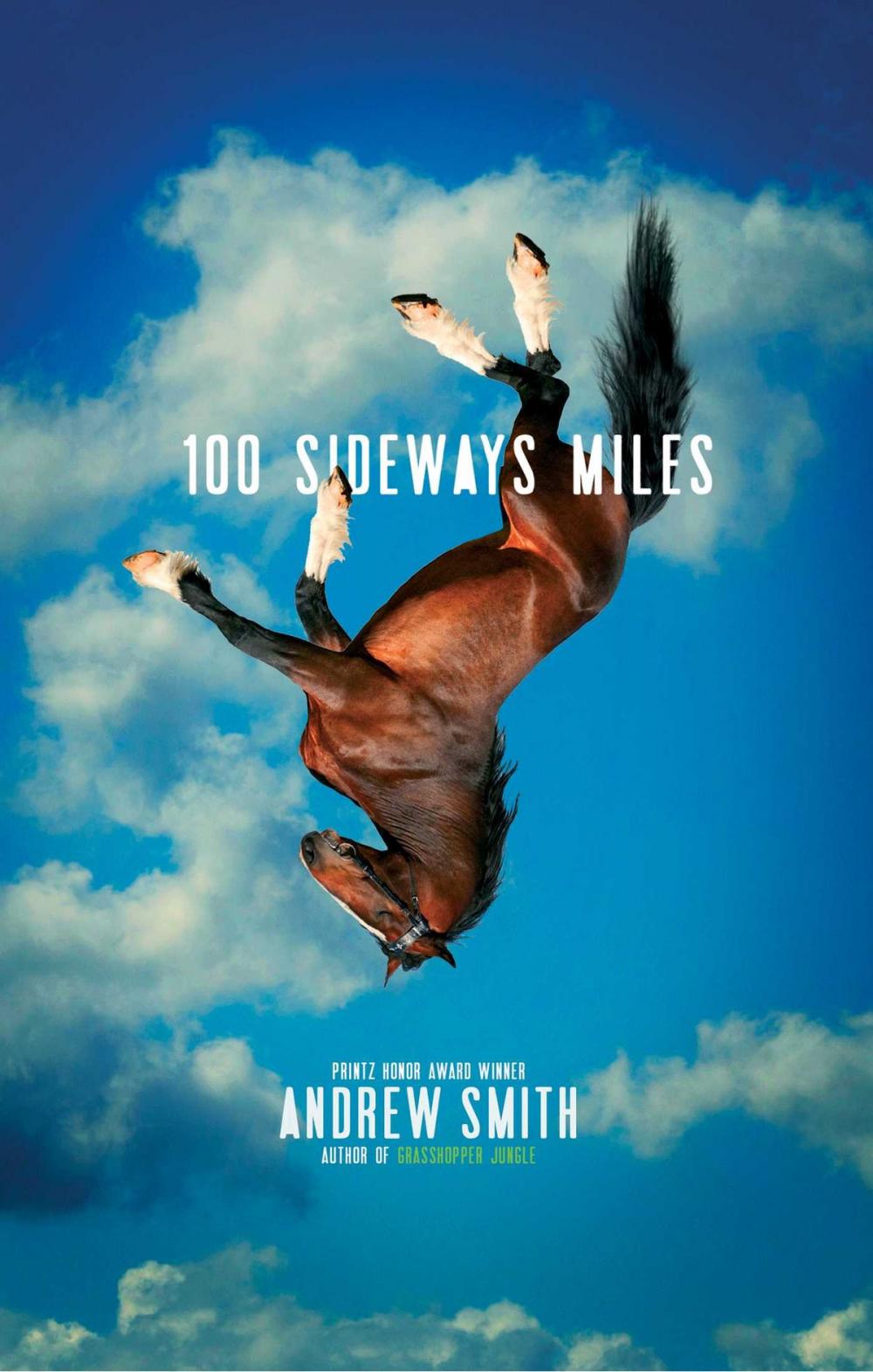 Big bigCover of 100 Sideways Miles