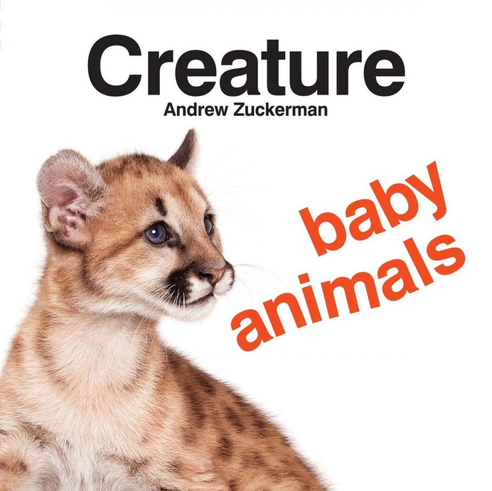 Big bigCover of Creature Baby Animals