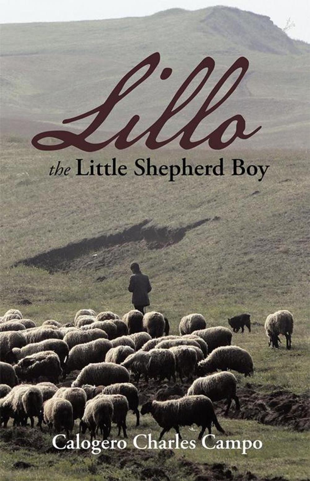 Big bigCover of Lillo the Little Shepherd Boy