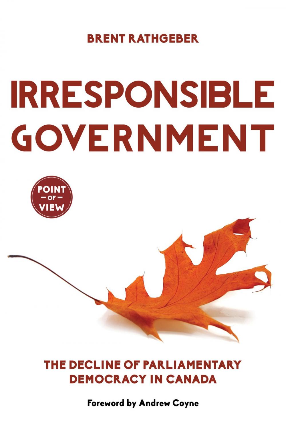 Big bigCover of Irresponsible Government