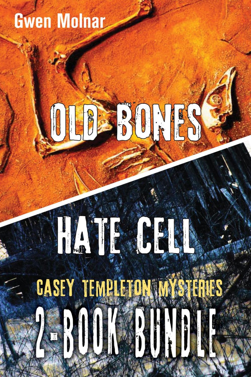 Big bigCover of Casey Templeton Mysteries 2-Book Bundle