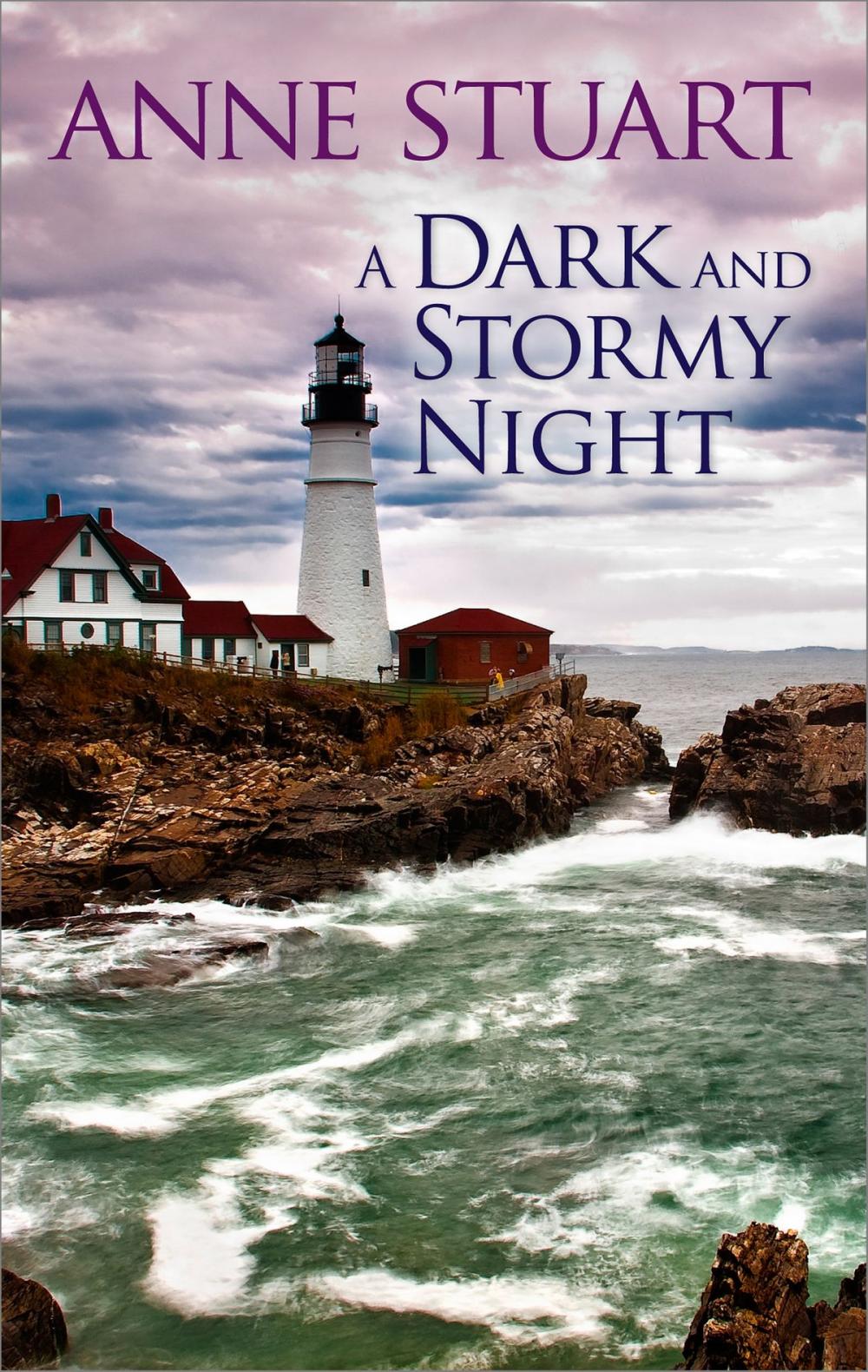 Big bigCover of A Dark and Stormy Night