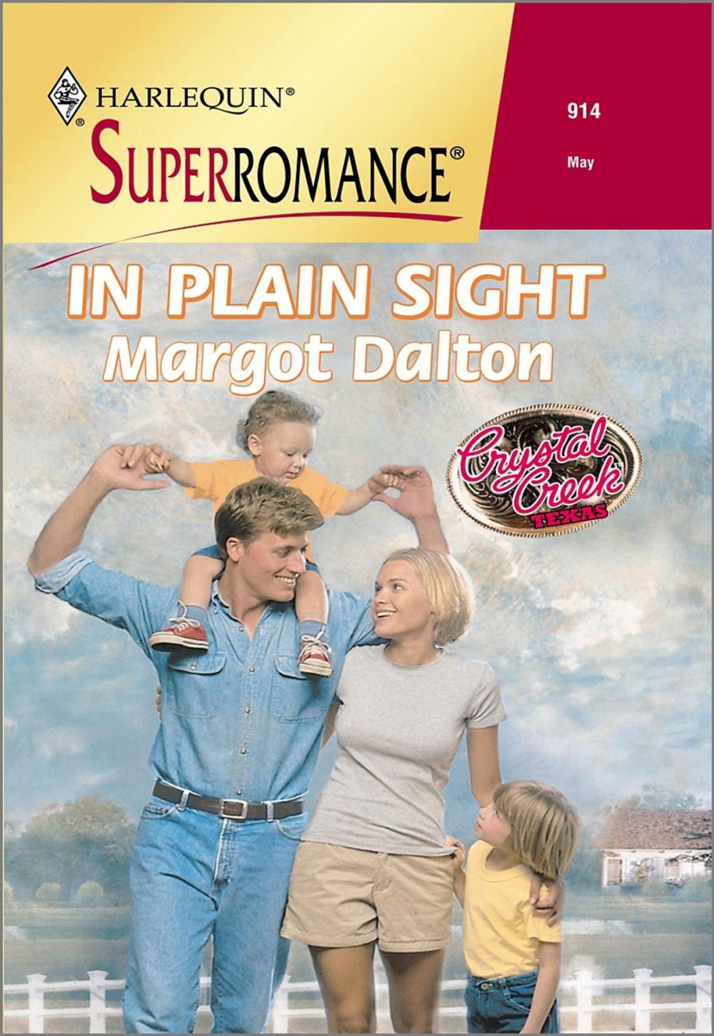 Big bigCover of IN PLAIN SIGHT