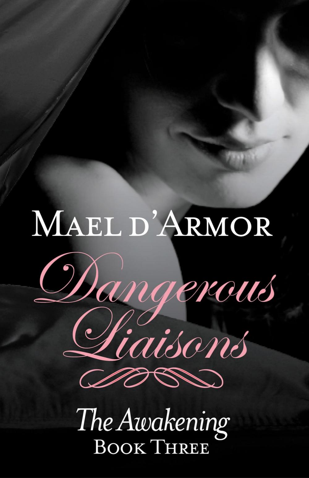 Big bigCover of Dangerous Liaisons