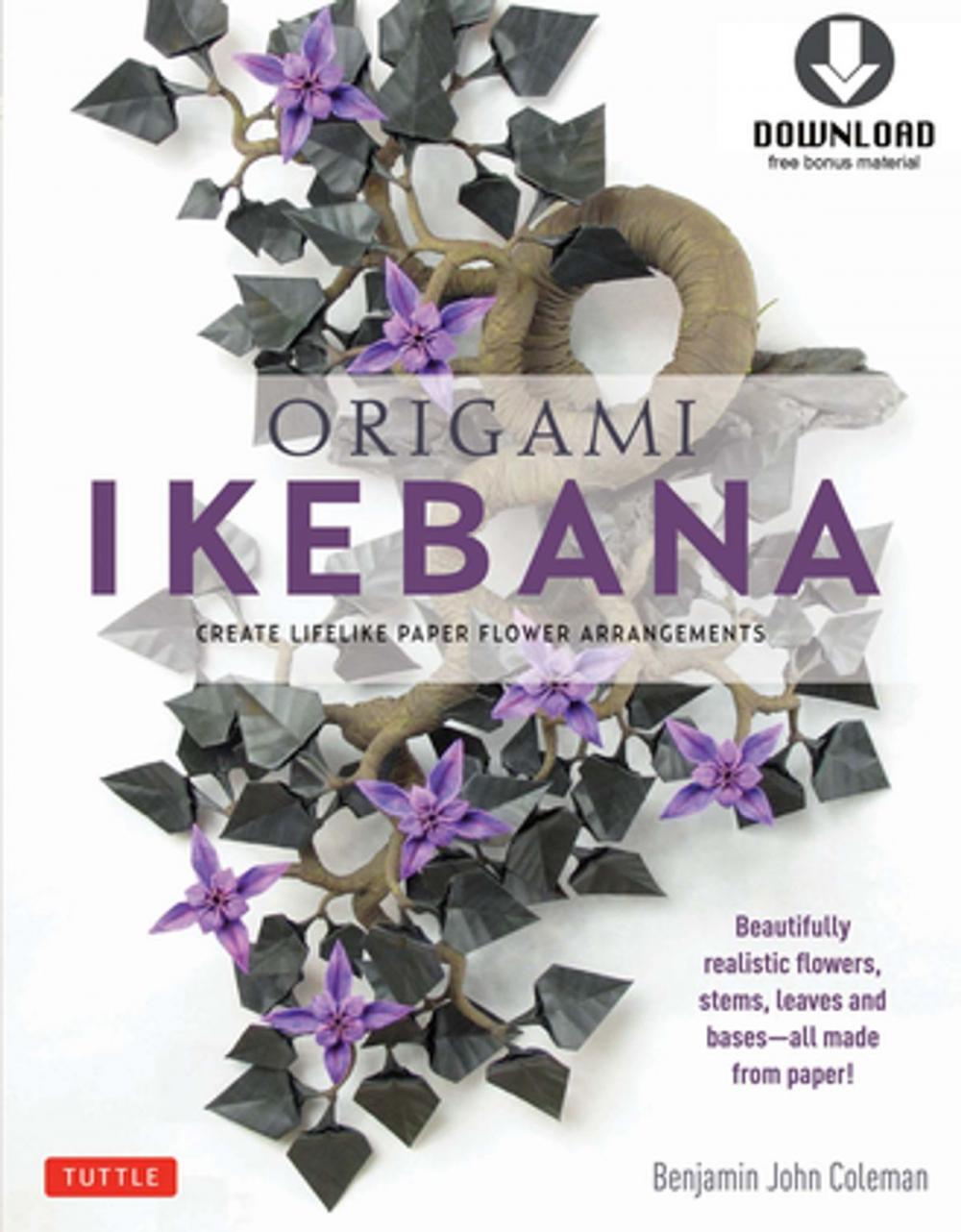 Big bigCover of Origami Ikebana