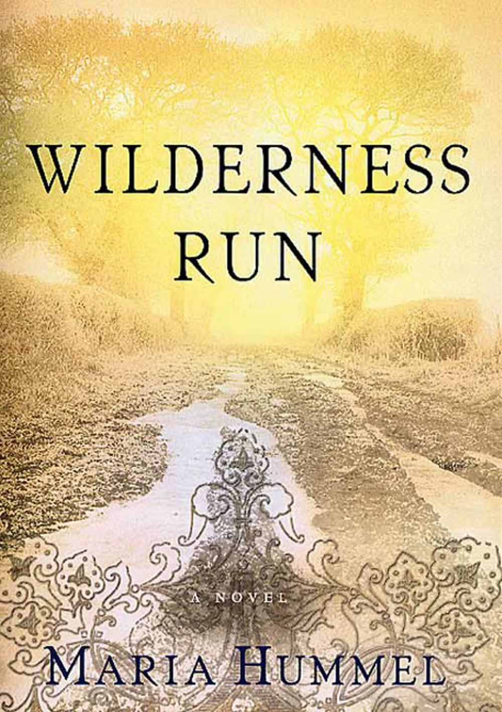 Big bigCover of Wilderness Run