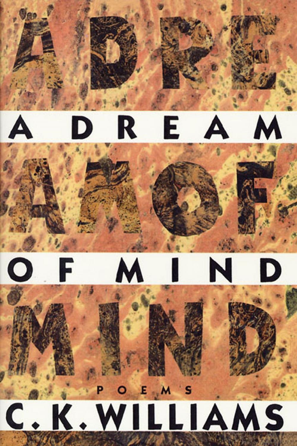 Big bigCover of A Dream of Mind