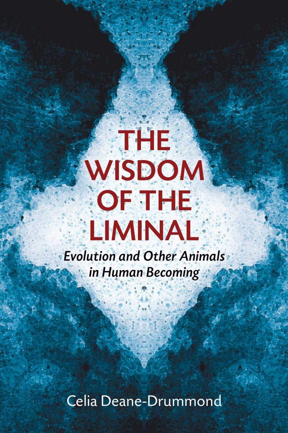 Big bigCover of The Wisdom of the Liminal