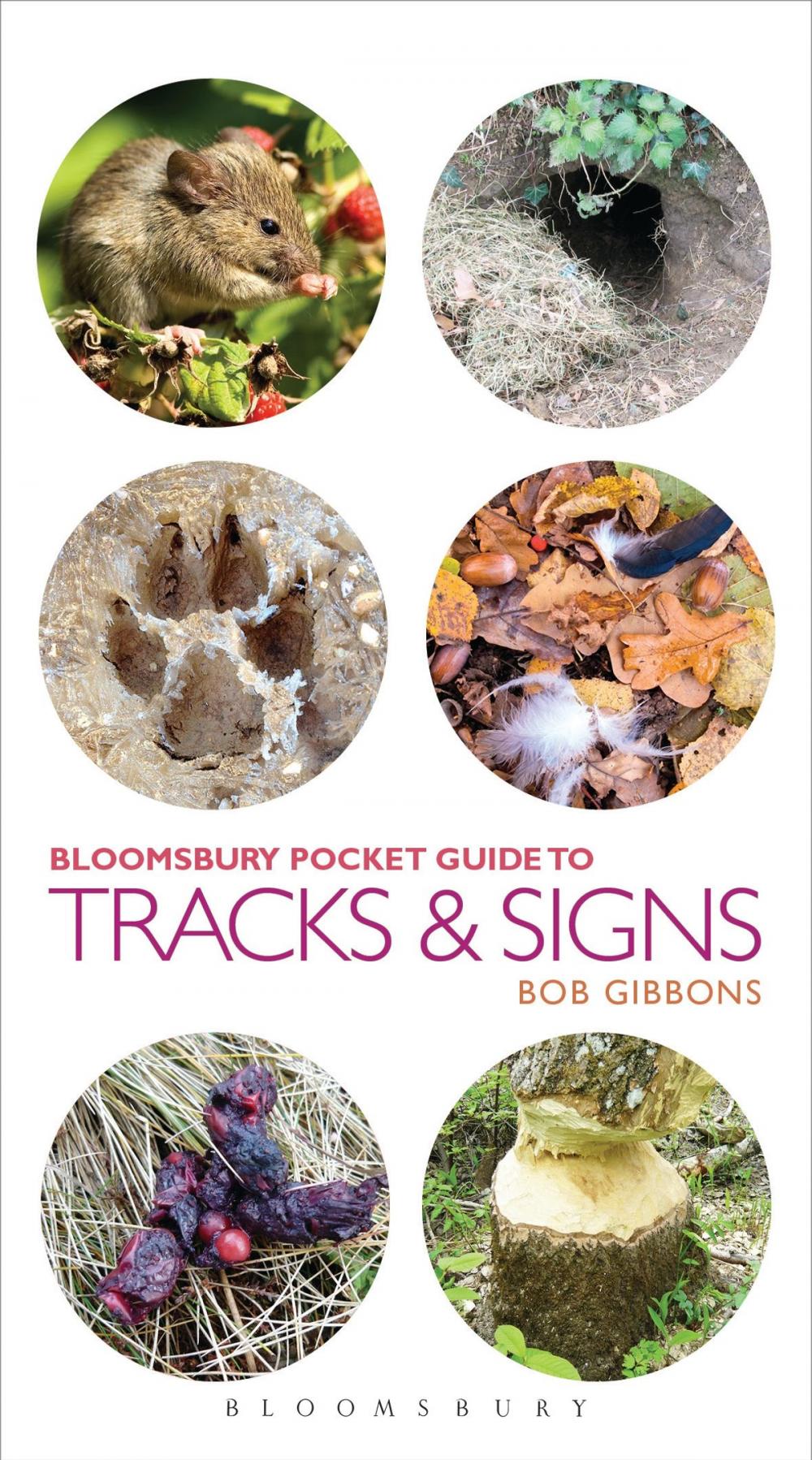 Big bigCover of Pocket Guide To Tracks and Signs