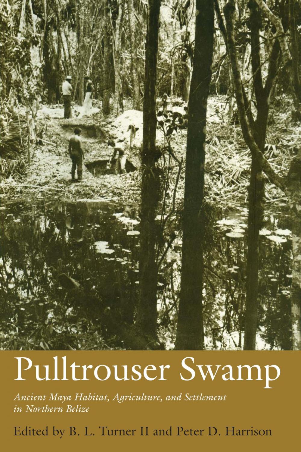 Big bigCover of Pulltrouser Swamp