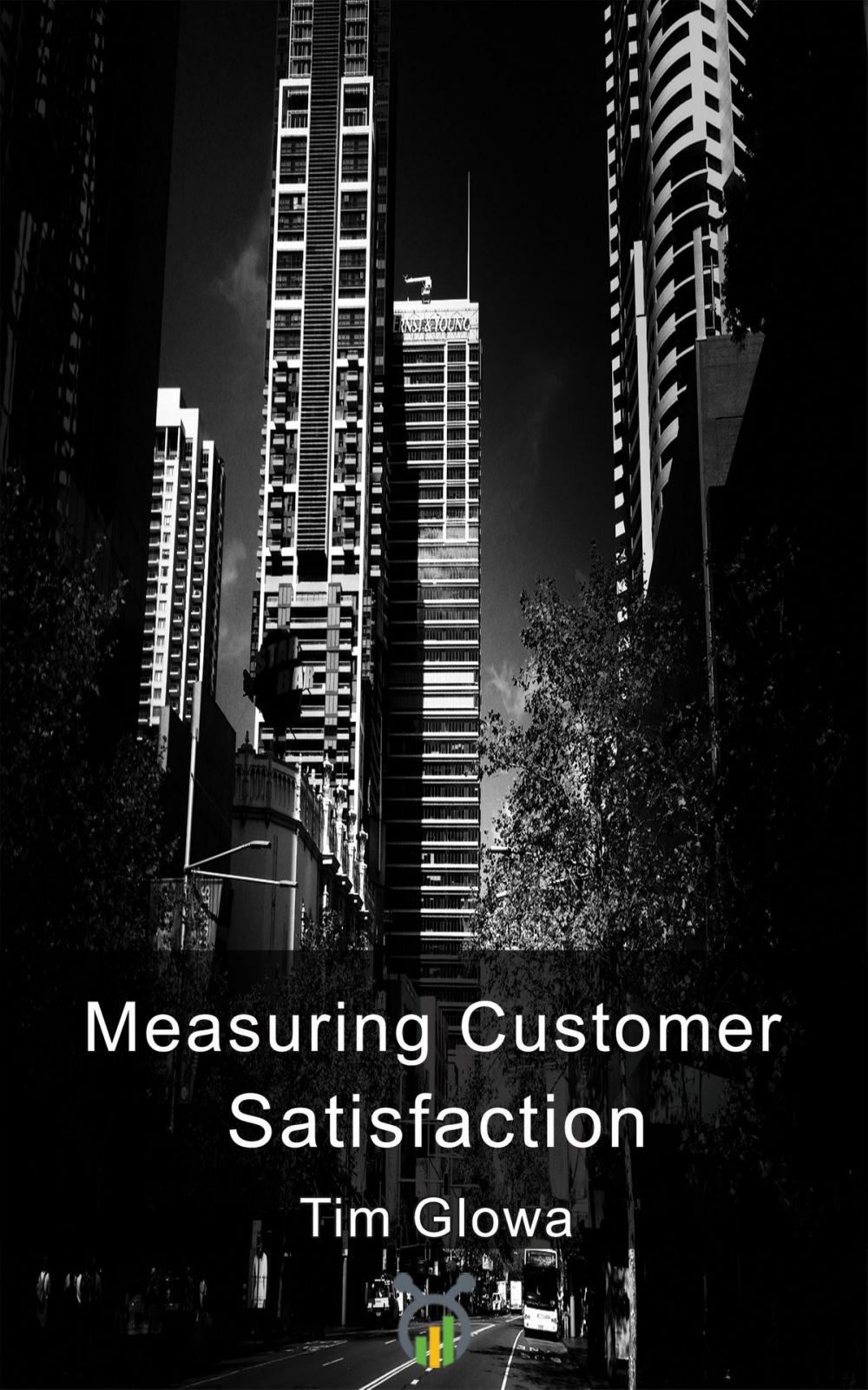 Big bigCover of Measuring Customer Satisfaction